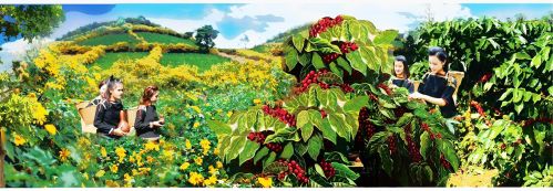 Tranh vẽ về chủ đề hoa d&atilde; quỳ, h&aacute;i c&agrave; ph&ecirc;&hellip;