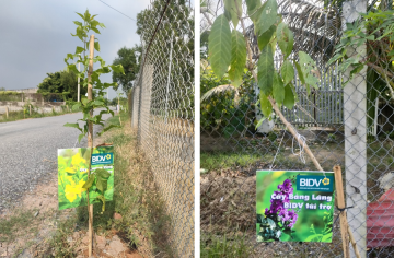 THỰC HIỆN TRỒNG 2000 CÂY XANH CHO TỈNH LONG AN 2023