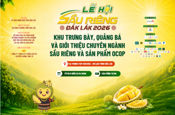 Hình ảnh Lễ hội sầu riêng Đắk Lắk 2026